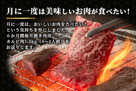 佐賀牛　もりもりカルビ肉（焼き肉用）定期便６回コース　総重量６kg 　V-51