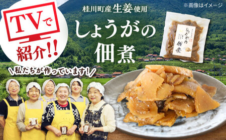  桂川町産 白米 4kg と しょうがの佃煮セット [ADAI001] 米 佃煮