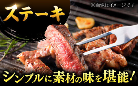 博多和牛 サーロイン ステーキ 250g [250g×1枚]  [ADAQ004] ステーキ 黒毛和牛