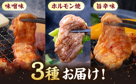 味付き ホルモン （旨辛・味噌・筑豊ホルモン焼き）3種セット 桂川町/マルマツ産業株式会社 [ADAE005] ホルモン焼き ホルモン 味付きホルモン 焼肉 冷凍
