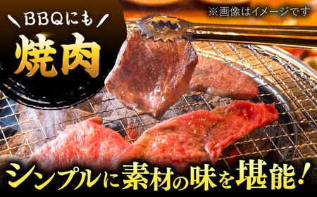 博多和牛 焼肉 用 500g 国産 桂川町/株式会社 MEAT PLUS [ADAQ009] 和牛 焼肉 焼き肉 BBQ 冷凍 牛肉
