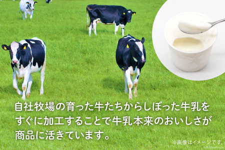 【牧場直送】 アイス 120ml ×5種 計5個 食べ比べ [岩瀬牧場 北海道 砂川市 12260519] 
