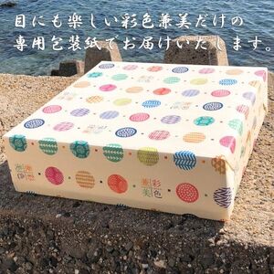 えび せんべい 24袋 贈答用 彩色兼美 箱入り お歳暮 海老 せんべい 詰合せ 海老 煎餅 人気 おすすめ 豊浜 愛知県 南知多町