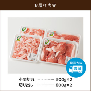 延岡よっとん Aセット N003-YB541