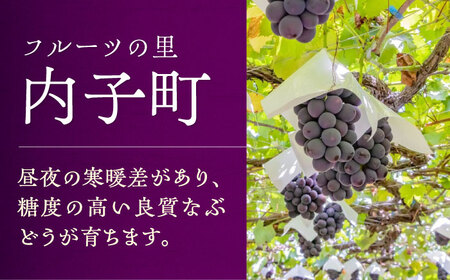 内子夢わいん 赤ワイン (山ぶどう) 約720ml 2本 BKAG015