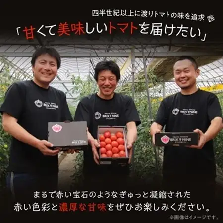 【令和8年3月発送開始】糖度9度以上!赤い宝石のようなフルーツトマト　ブリックスナイントマト1ケース_野菜  トマト _【配送不可地域：離島】【1210032】