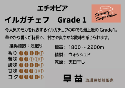 【早苗】焙煎珈琲豆（さわやかな酸味を楽しむセット　3種×各100g）粉  0020-006-S05-2