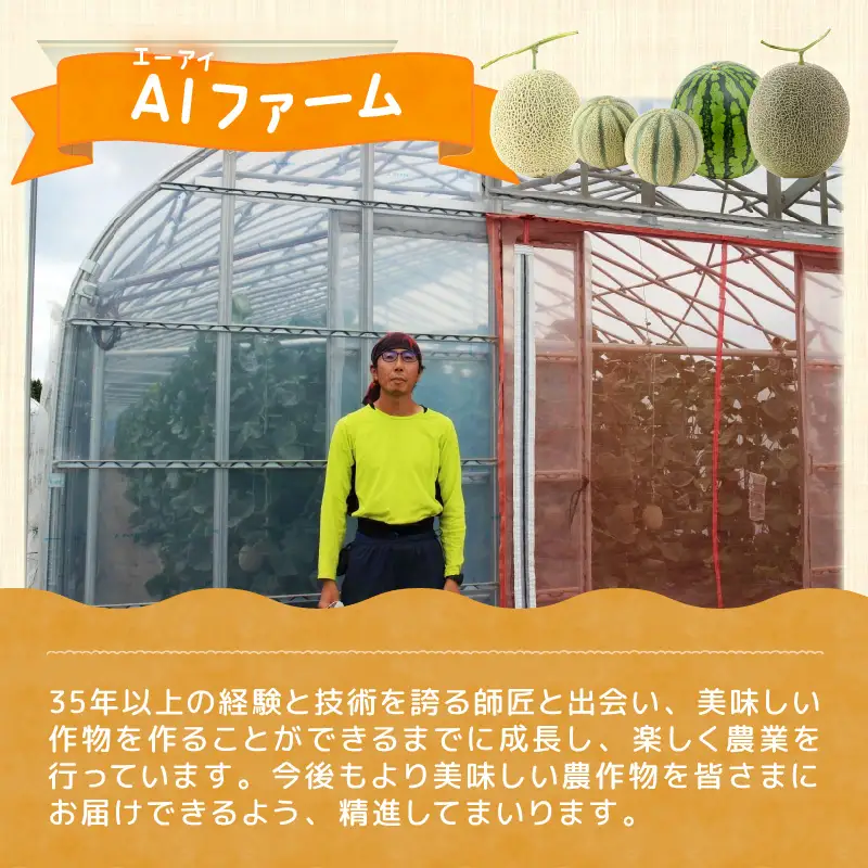 【先行予約】【赤肉】秋 アールスメロン 1玉（約1.6kg以上） 高級メロン！ ／ マスクメロン 大玉 果物 フルーツ 夏 ギフト 農家直送 ※2026年9月中旬以降発送  [aw065-a010]
