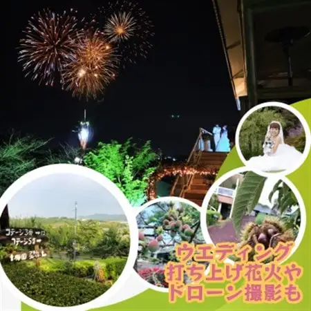 展望レストラン・BBQ・愛犬とお食事が大人気!【共通利用券 3000円】 花と緑の八王子農園_旅行券・チケット   _【1409154】