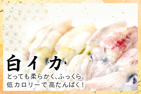 ノドグロ・白イカ一夜干セット【干物セット のどぐろ一夜干し いか 一夜干し のどぐろ干物 2尾 1尾あたり120～140g 白イカ干物 2尾 1尾あたり約70～80g 島根県産 大田市産 ノドグロ しろいか 干物 真空パック 冷凍 贈答 ギフト】
