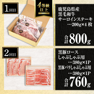 isa512 【定期便３回】鹿児島の黒!! 黒牛・黒豚 定期便(合計2.26kg)  肉 牛肉 ステーキ 霜降り すきやき しゃぶしゃぶ 牛しゃぶ 冷凍 ロース カタロース 肩ロー ス サーロイン 黒豚 豚肉 豚 ぶた バラ スライス  アウトドア BBQ【サンキョーミート株式会社】