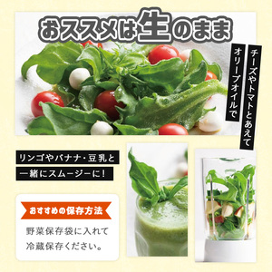 ＜先行予約受付中！12月中旬以降お申し込み順に発送予定＞アイスプラント(計約600g・150g×4パック)野菜 葉物野菜 葉野菜【114800201】【公益社団法人 あじむ農業公社】