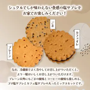 大分銘菓 塩サブレ ミックス 10個入り J01035