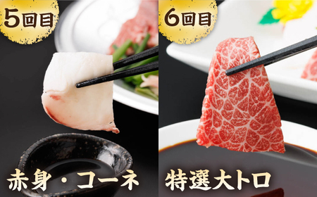 【6回定期便】毎月違う部位が届く！【馬刺しの郷 民守】 赤身 ヤング 霜降り馬刺し 食べ比べ [ZBL019]