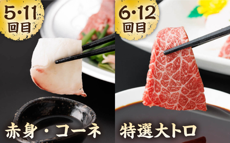 【12回定期便】毎月違う部位が届く！【馬刺しの郷 民守】 赤身 ヤング 霜降り馬刺し 食べ比べ  [ZBL020]