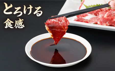 【6回定期便】馬刺し 特盛！バラエティセット 6種類 5・6人前 ＋タレ大【馬刺しの郷 民守】  馬肉 熊本県 特産品 馬刺し [ZBL077]