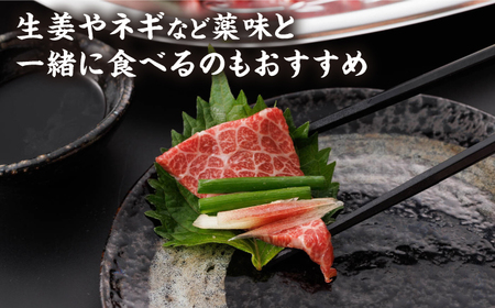 【12回定期便】特選霜降り馬刺し 中トロ大トロ2種食べ比べセット 計200g（各1pc）＋タレ小【馬刺しの郷 民守】 2種馬刺しセット 中トロ 大トロ 霜降り 特選 タレ付き [ZBL106]