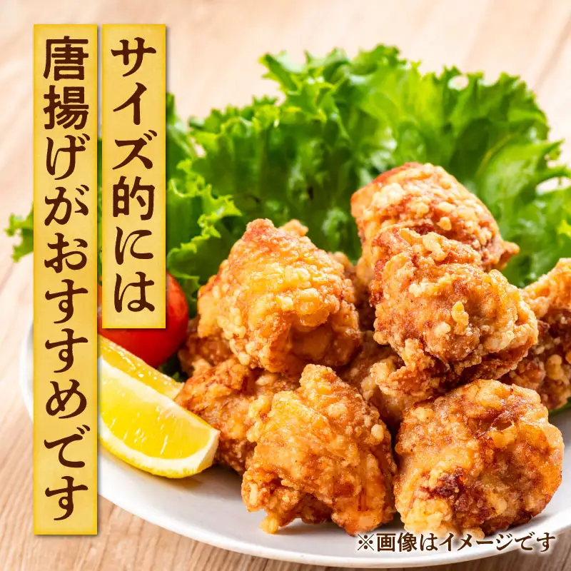 鶏肉 もも肉 鶏肉[宮崎県産 若鶏 約3kg 約200g×15P]