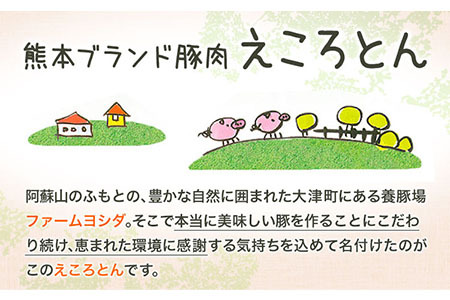熊本県産 ブランド豚 えころとん使用 とにかく美味しいギフトセット 合計800g以上 一般社団法人すまいる ワークプレイス絆 《90日以内に出荷予定(土日祝除く)》 味噌豚 とんかつ コロッケ えころとん ギフト 豚肉