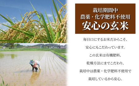 【太陽と大地】令和7年産「八重原産コシヒカリ玄米「極」（栽培期間中農薬化学肥料不使用）８kg」