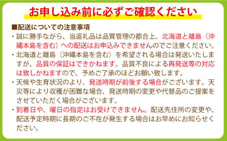 【2026年8月中旬〜発送】シャインマスカット 2kg（3房~5房）/ マスカット シャインマスカット ますかっと ぶどう 葡萄 ブドウ フルーツ 果物 / 南島原市 / 長崎県農産品流通合同会社 [SCB084] 