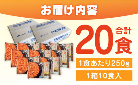 チキンライス 250g×10食入×2箱 / 冷凍食品 レンジ 温め 加工食品 / 佐賀県 / さが風土館季楽 [41AABE033]