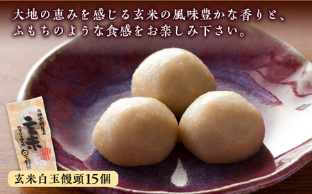 冷凍白玉饅頭詰合せ Cセット / 佐賀県 / 白玉饅頭元祖吉野屋 [41AACQ003]