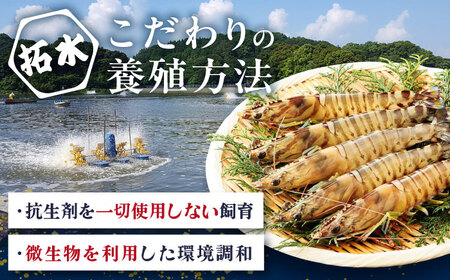 伊万里特産 車海老の塩焼き 計8尾 / 佐賀県 / 株式会社拓水 伊万里クルマエビセンター [41AEAJ004]