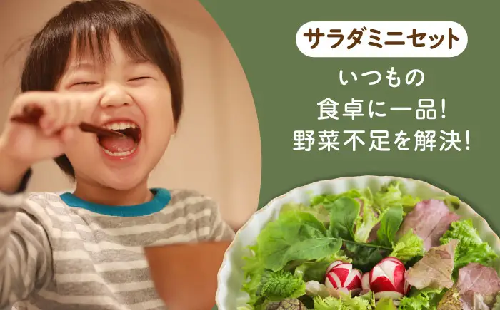 サガンベジオーガニックサラダミニセット 7種×1パック 有機JAS / 佐賀県 / 株式会社サガンベジ [41ANCH001]