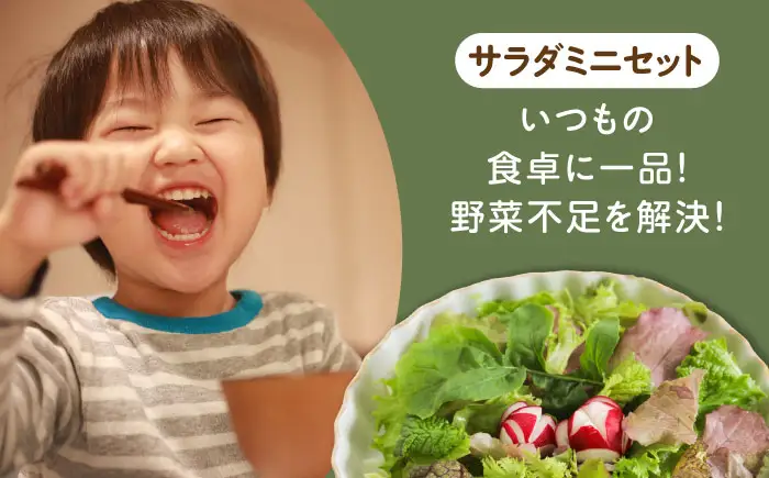 オーガニック葉物野菜セット 7種×2パック 有機JAS / 佐賀県 / 株式会社サガンベジ [41ANCH002]