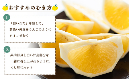 【2027年出荷分】小夏 (日向夏) 小夏 2.5kg ギフト用 kd-0031