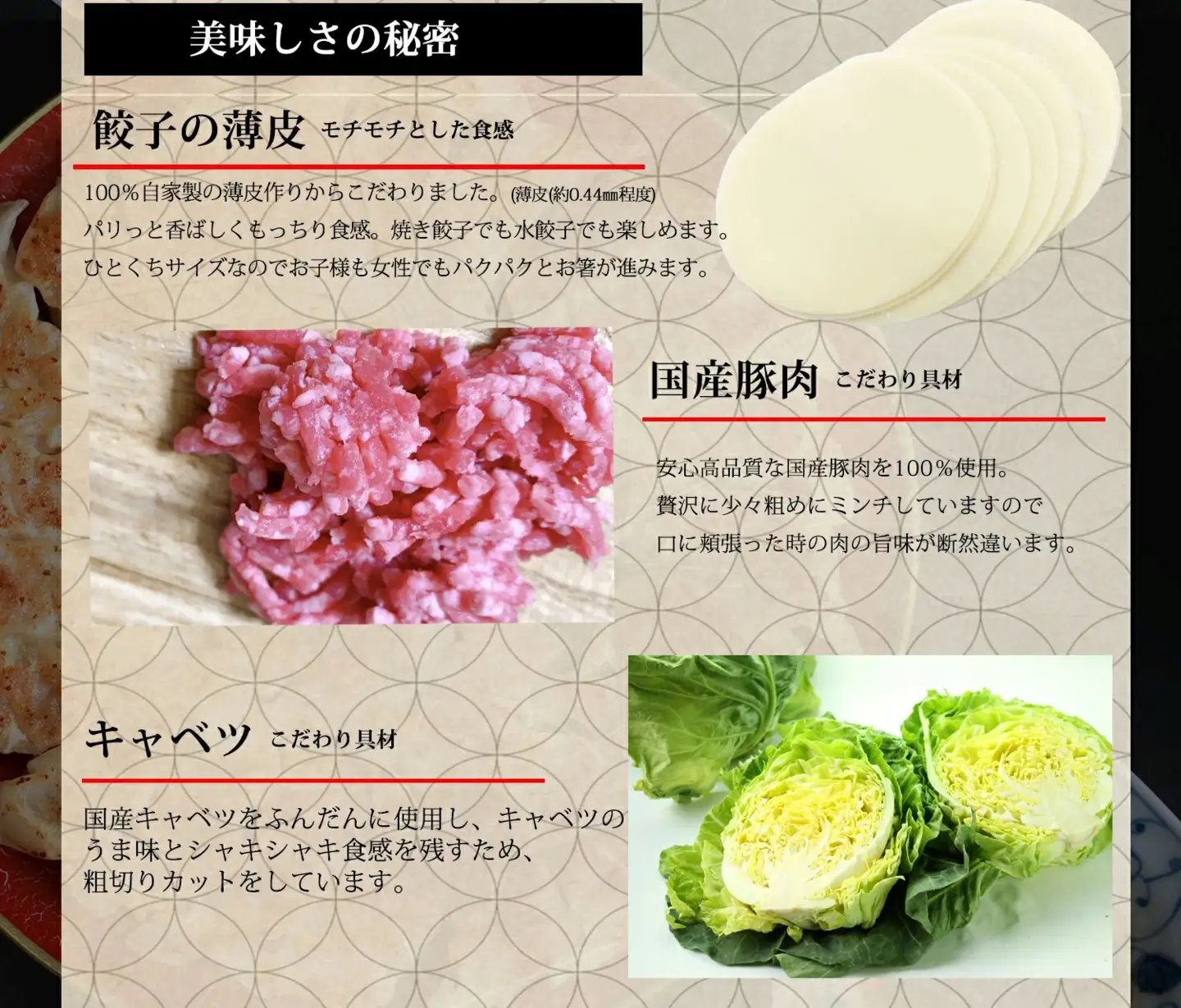 ひとくち餃子 180個 長崎 中華 餃子 ぎょうざ 冷凍