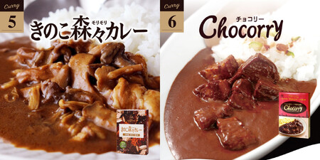 【60箱！贅沢カレーストック！】6種のカレー詰め合わせ 各10箱【豊味館】6種のカレー詰め合わせ 各10箱【豊味館】レトルト 簡単  人気 大容量