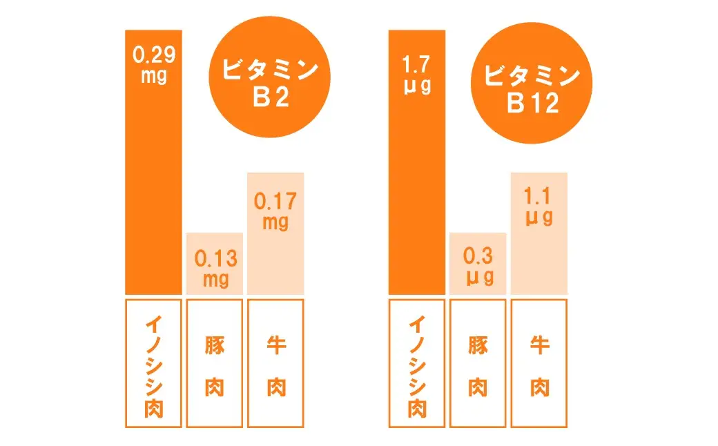 【猪肉】平戸いのしし モモ肉 スライス 300ｇ / ジビエ 焼肉 モモ肉 スライス 猪肉 いのしし