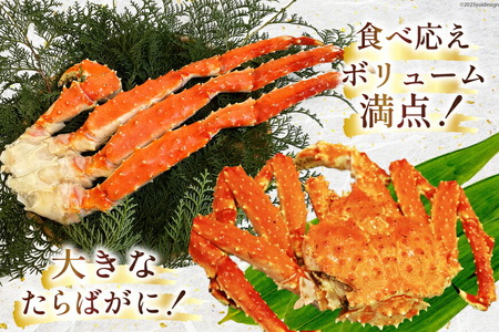 DH069 お手軽！たらばがに 800g（シュリンクパック・化粧箱入）[ 長崎県 島原市 ]