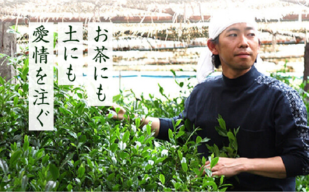奥八女星野村 深蒸し高級煎茶(深蒸し茶)100g×2袋 八女茶 [ABDF025] 