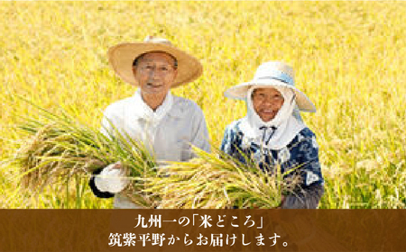 米 【特A】「元気つくし」5kg×2袋 [10kg] [玄米] [ABDF031] 米 ご飯 ごはん こめ コメ おにぎり 
