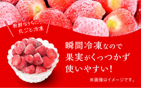 福岡県産【博多冷凍あまおう】約500g×2袋 合計約1kg [ABDG005] 