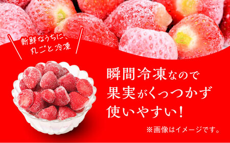 あまおう 約 500g × 4袋 [ABDG007] あまおう 果物
