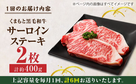 【6回定期便】くまもと黒毛和牛 サーロインステーキ 計400g（2枚）【馬刺しの郷 民守】霜降り サーロイン ステーキ  [ZBL080]
