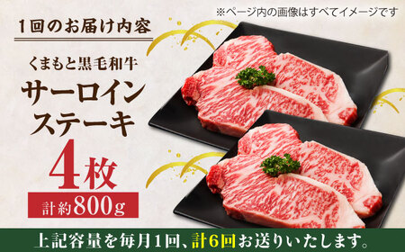 【6回定期便】くまもと黒毛和牛 サーロインステーキ 計800g（4枚）【馬刺しの郷 民守】 霜降り サーロイン ステーキ  [ZBL081]