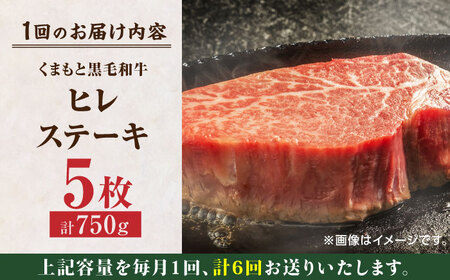 【6回定期便】くまもと黒毛和牛 ヒレステーキ 計750g（5枚）【馬刺しの郷 民守】 九州産 熊本 和牛 ヒレ ステーキ  [ZBL083]