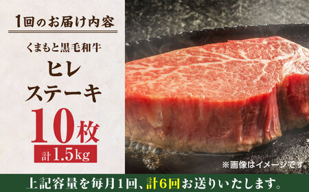 【6回定期便】くまもと黒毛和牛 ヒレステーキ 計1500g（10枚）【馬刺しの郷 民守】 九州産 熊本 和牛 ヒレ ステーキ  [ZBL084]
