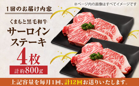【12回定期便】くまもと黒毛和牛 サーロインステーキ 計800g（4枚）【馬刺しの郷 民守】ステーキ サーロイン 霜降り 熊本県 [ZBL109]
