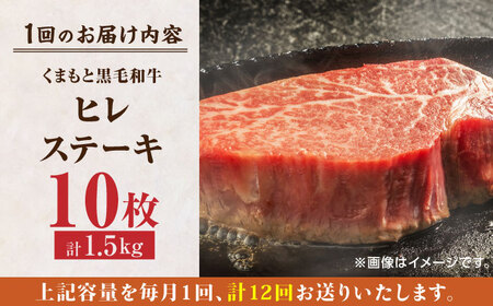 【12回定期便】くまもと黒毛和牛 ヒレステーキ 計1500g（10枚）【馬刺しの郷 民守】 熊本 和牛 ステーキ ヒレ  [ZBL112]