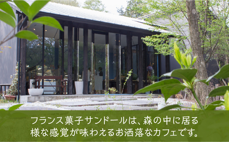 ダックワーズ 計20個 ( 2個入 10袋 ) 【フランス菓子 サンドール】[TDW003]