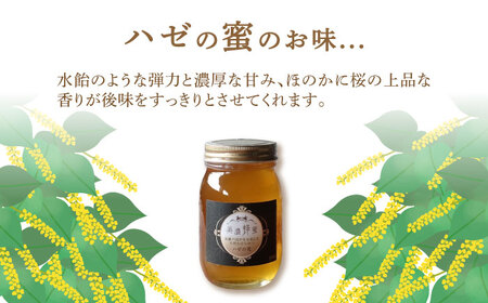 美濃蜂蜜 ハゼの花 600g 【マンモスハウス合同会社】 はちみつ 非加熱 国産[TEW007]
