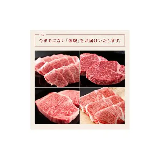 【和牛セレブ】神戸牛一頭分のセレブ体験（24分割納品コース）[1035]