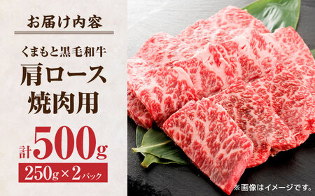 くまもと黒毛和牛 焼肉用 肩ロース 500g（250g×2pc）【馬刺しの郷 民守】  熊本県産 九州産 和牛 肩ロース焼き肉  [ZBL033]