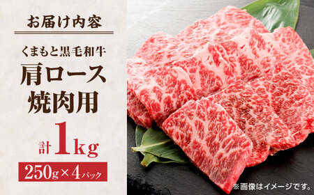 くまもと黒毛和牛 焼肉用 肩ロース 1000g（250g×4pc）【馬刺しの郷 民守】 熊本県産 九州産 和牛 肩ロース焼き肉 [ZBL034]